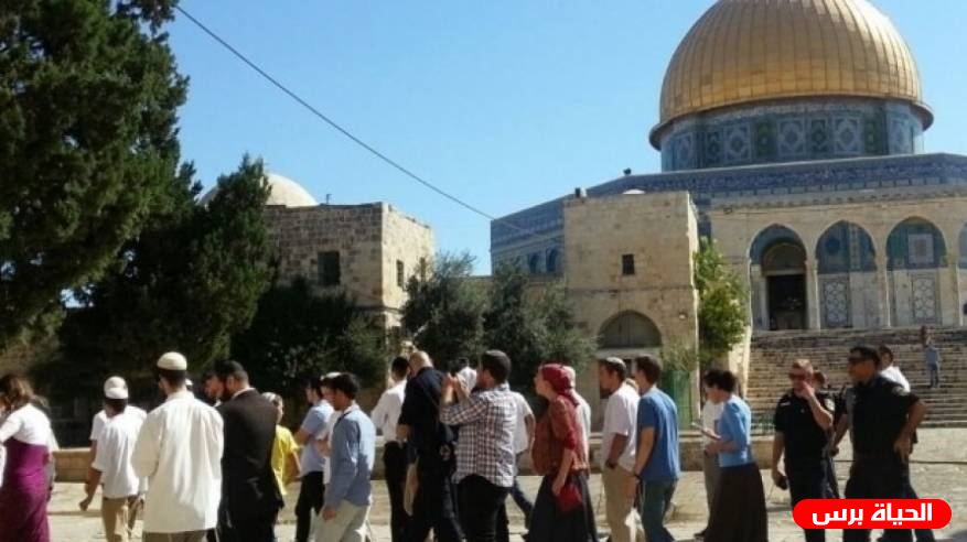أكثر من أربعين مستوطنا يقتحمون المسجد الأقصى